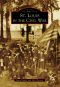 [Images of America: Missouri 01] • St. Louis in the Civil War